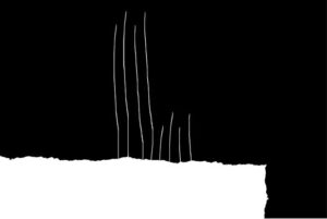 roto1