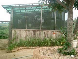 Tejado con botellas PET